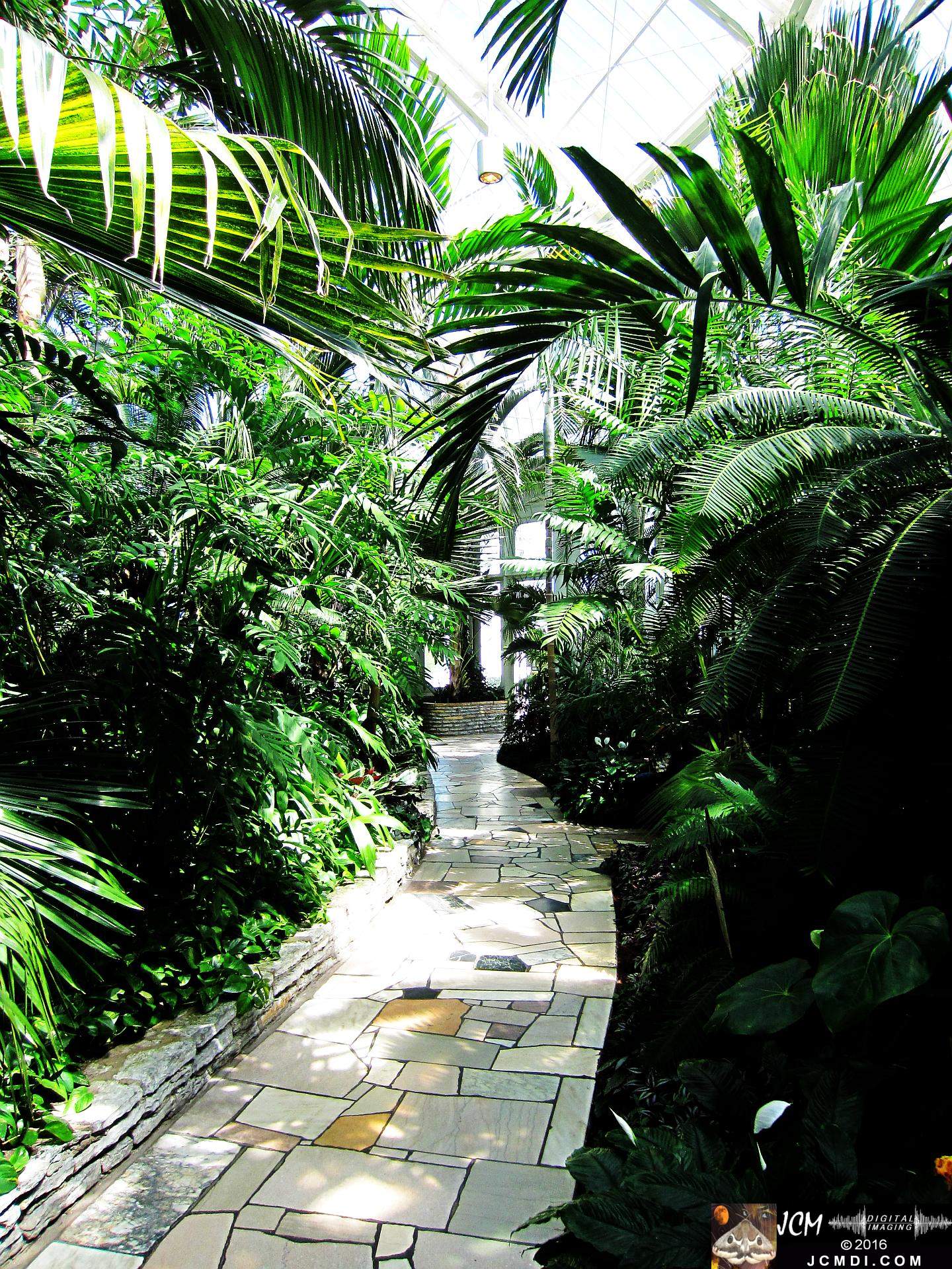 Como Zoo conservatory, MN tropical garden